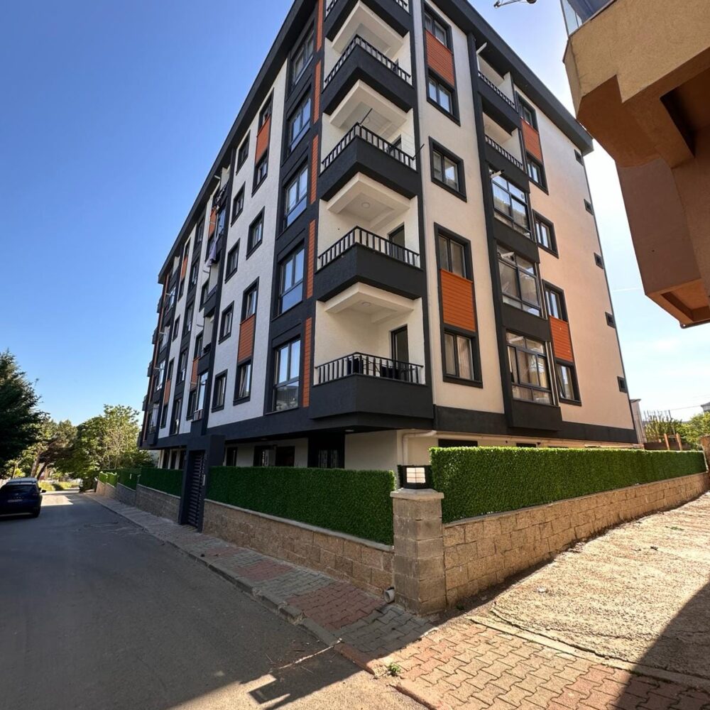 490483765_1241581587977606_1843367459100303889_n